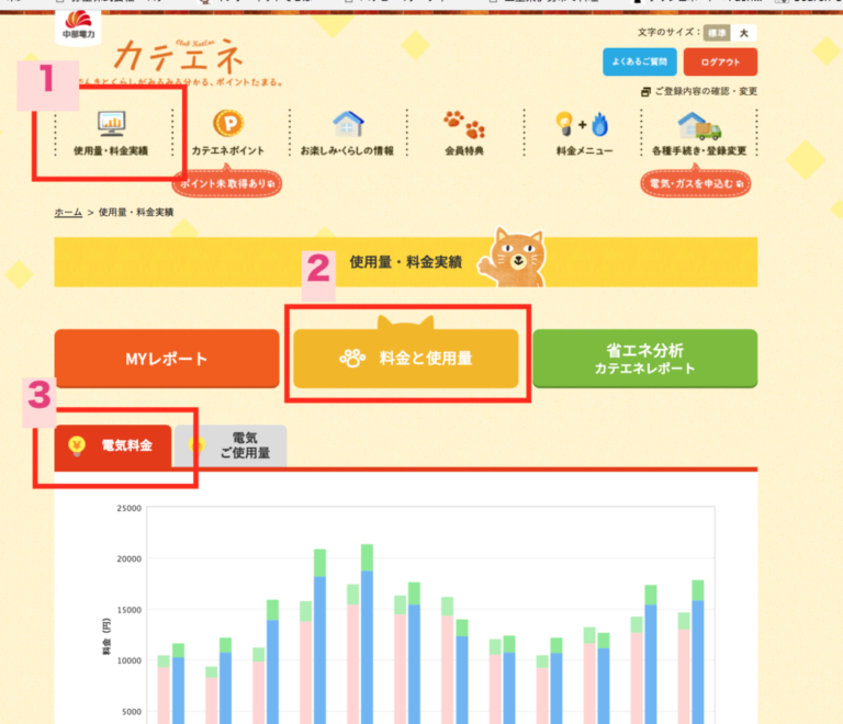 中部電力の電気料金明細をなくした！カテエネで料金を確認すると便利